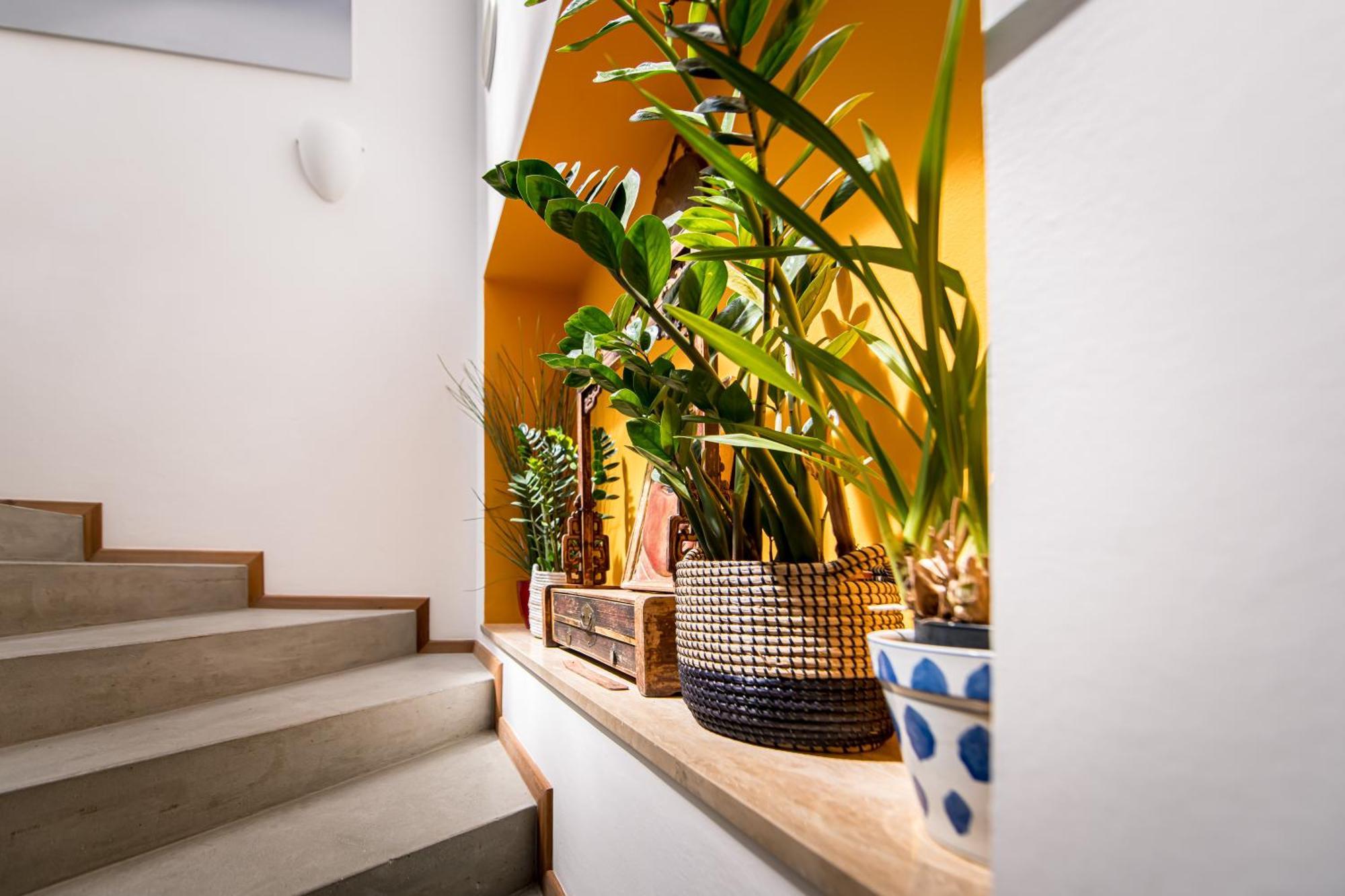 Am Schloss Guest House ブルーニコ エクステリア 写真